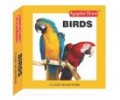 Birds-Classic Board Book